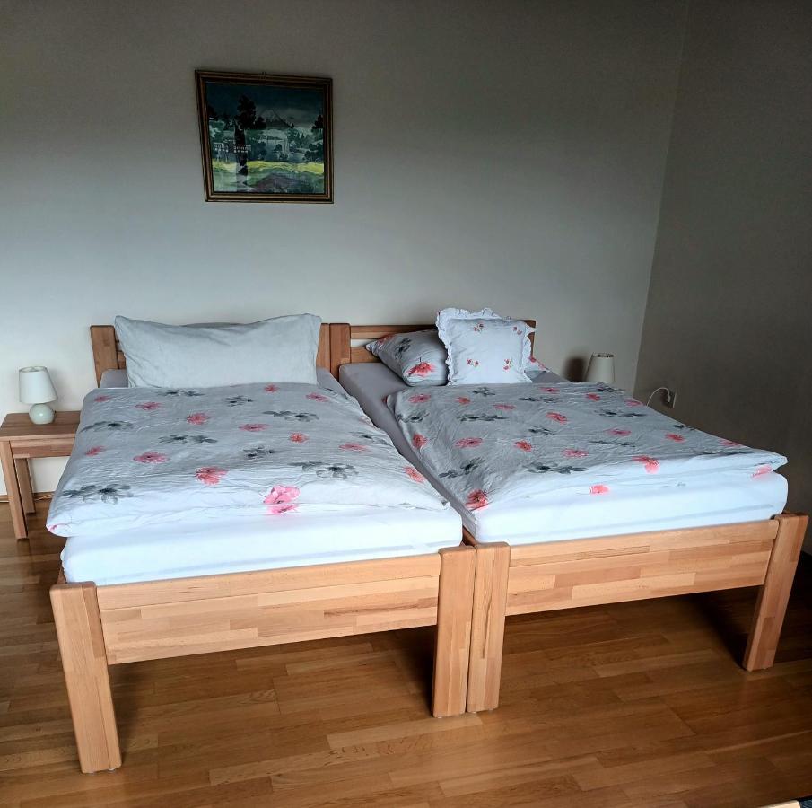 Buedingen-Ferienwohnung Bausch Dış mekan fotoğraf